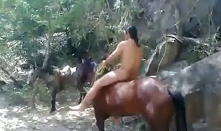 horse xxx