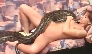 erotic