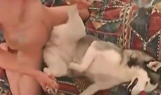 dog porn