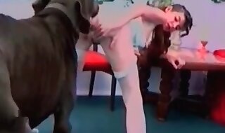 dog porn