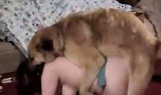 dog porn