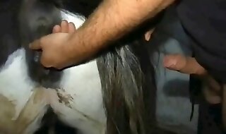 horse xxx