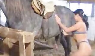 beastiality sex