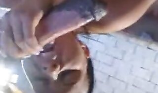 beastiality sex