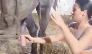 beastiality sex