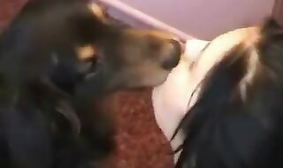 dog porn