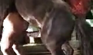 girl zoo porn