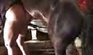 girl zoo porn