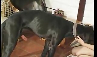 dog porn