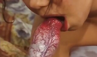 dog porn