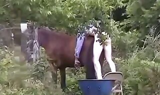 zoo sex