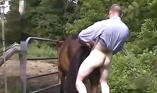 zoo sex