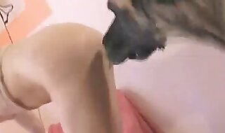 dog porn