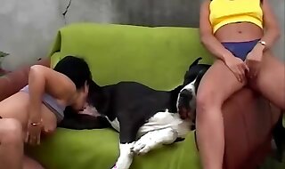 dog porn