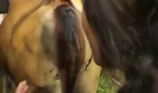 girl zoo porn
