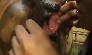girl zoo porn