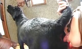 dog porn