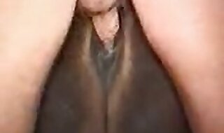 horse xxx
