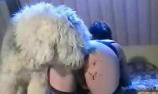 animal porno