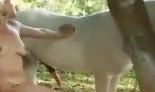 beastiality sex