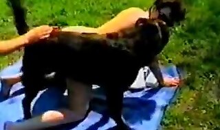 dog porn