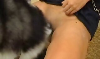 animal porno