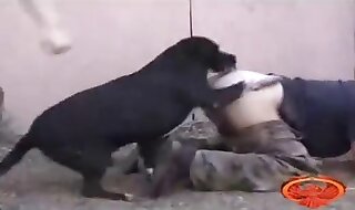 dog porn