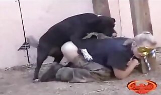 dog porn