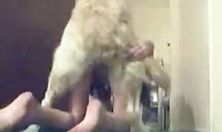 beastiality sex