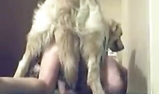 beastiality sex