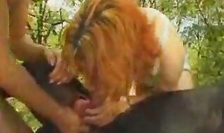 dog porn