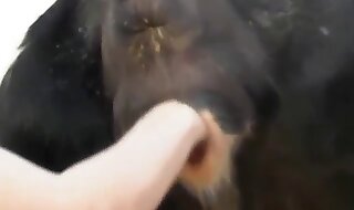 hand