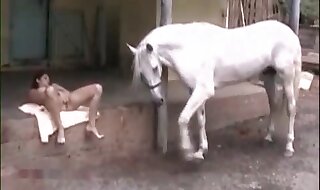 Girl Fucks Horse Cock - Girl fucked by horse in an outdoor porn vid